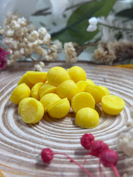 Tart Seasonal Summer Soy Wax Melts