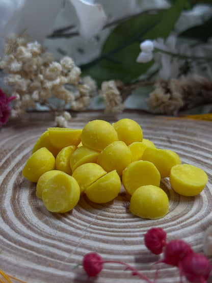 Tart Seasonal Summer Soy Wax Melts