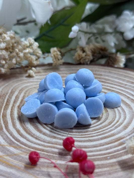 Bubbly Seasonal Summer Soy Wax Melts