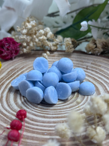 Bubbly Seasonal Summer Soy Wax Melts