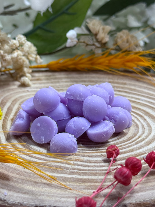 Fancy Seasonal Summer Soy Wax Melts