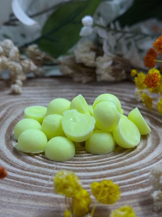 Good Day Seasonal Spring Soy Wax Melts
