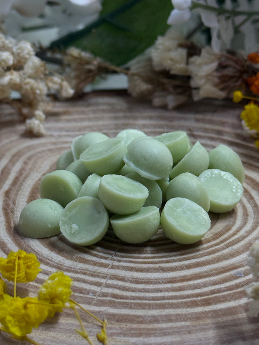 Nature Walk Seasonal Spring Soy Wax Melts